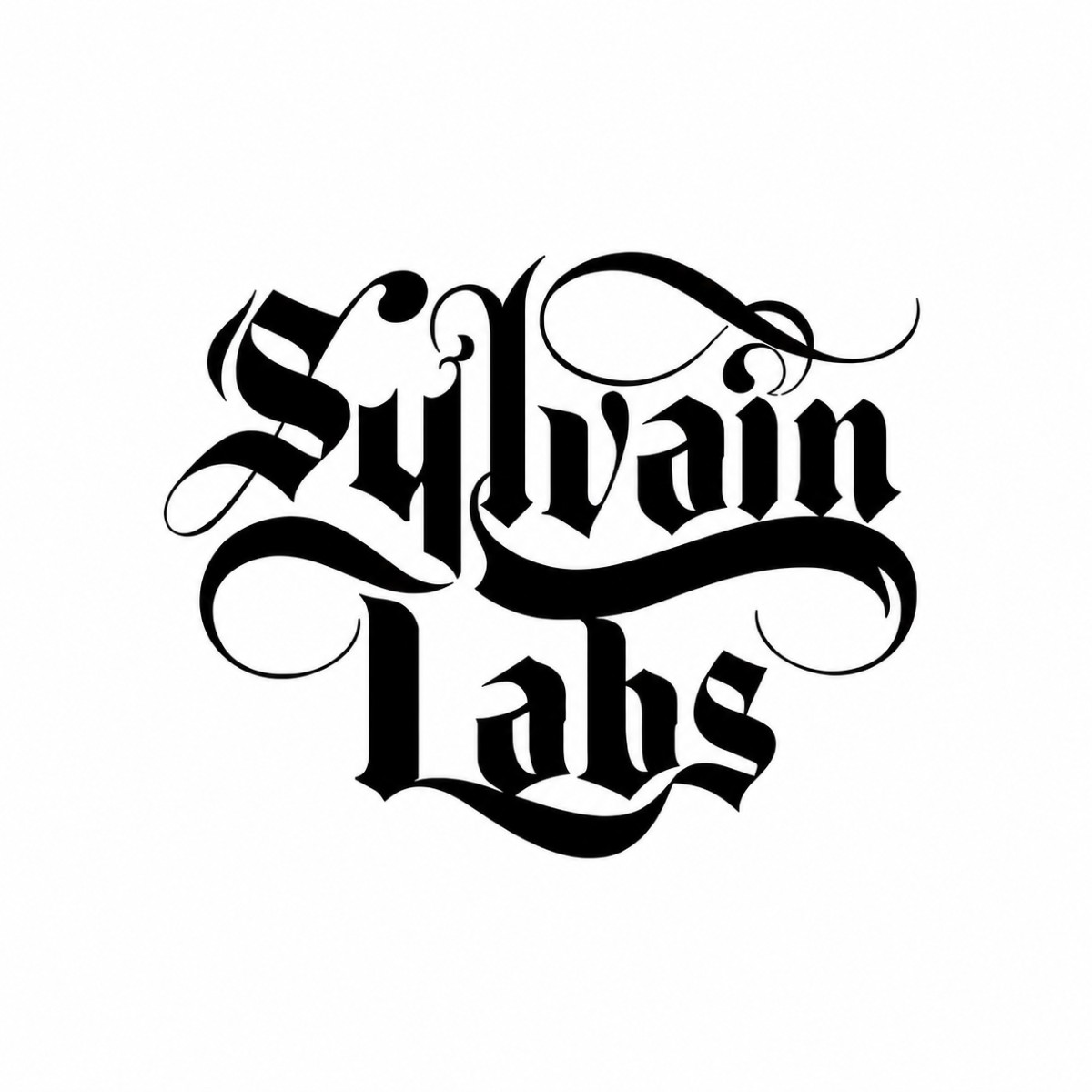 Sylvain Labs